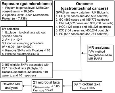 Association between gut microbiota and gastrointestinal cancer: a two-sample bi-directional Mendelian randomization study